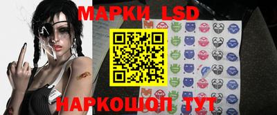 таблы Новозыбков