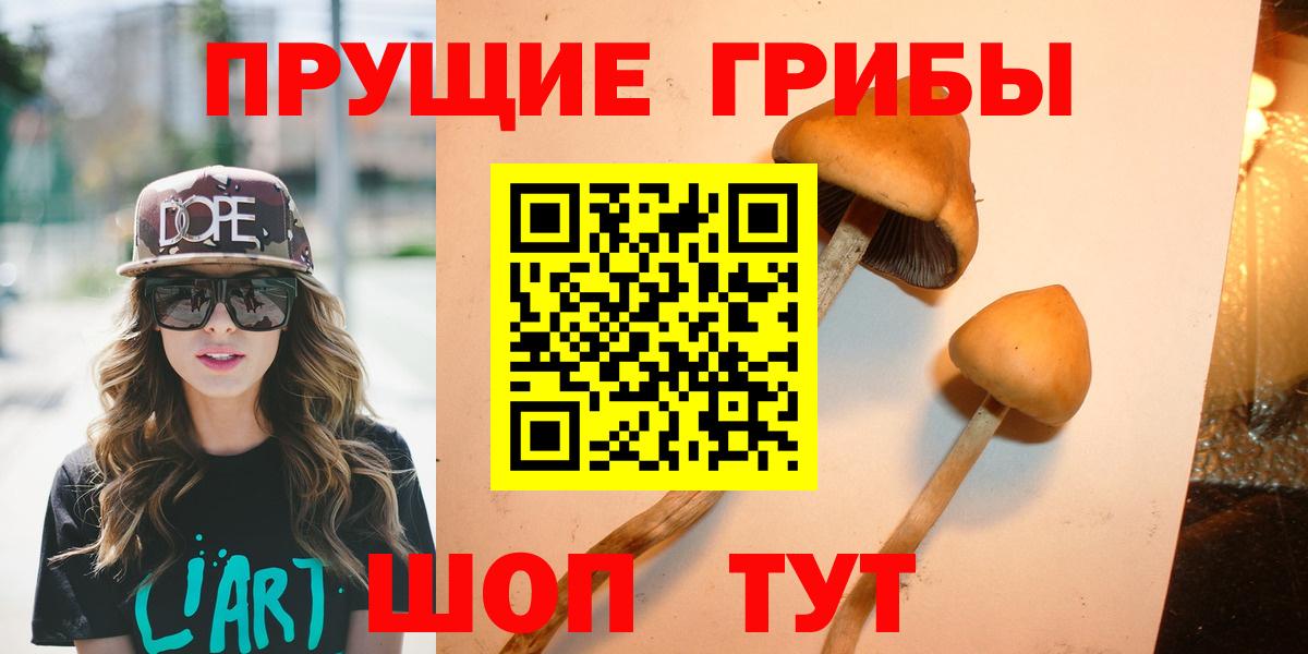 Уссурийск  Псилоцибиновые грибы прущие грибы  Вход с VPN 